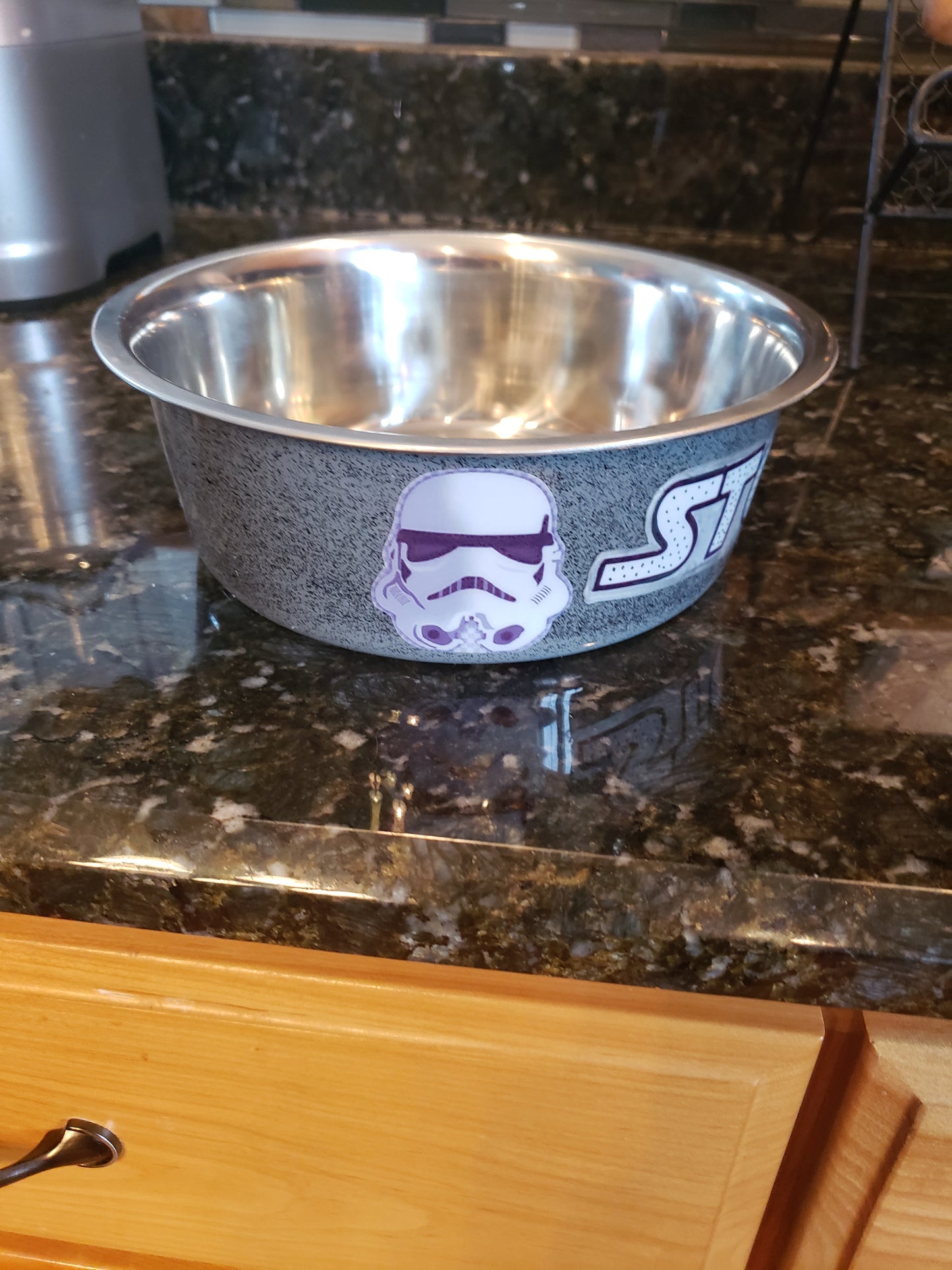 Custom Dog Bowl (Set of 2)